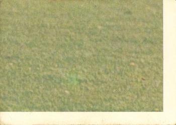 1973 Scanlens VFL #72 Royce Hart Back